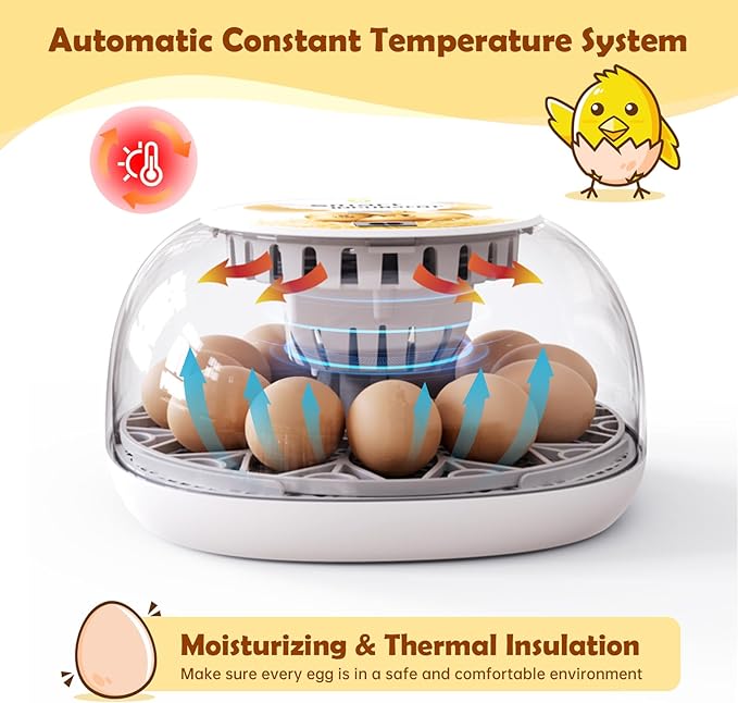 Egg Incubator for Hatching Chicks, Automatic Egg Turner Holds 12 Eggs, Smart - Image 2