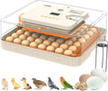 Incubator for Hatching Eggs, 56 Eggs Incubator by WONEGG