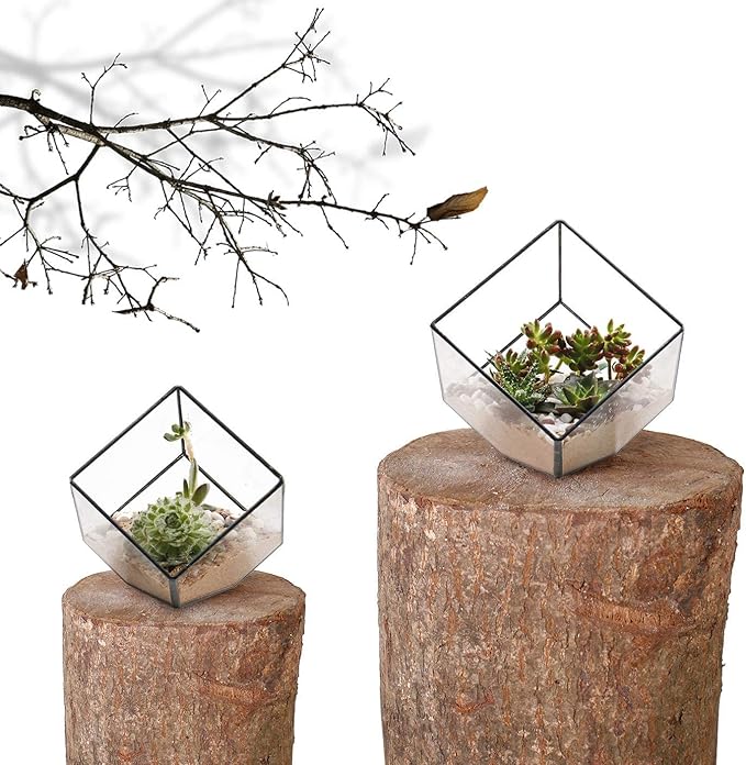 ELEGANTLIFE Glass Geometric Plant Terrarium Container, Flower Pot Tabletop - Image 2