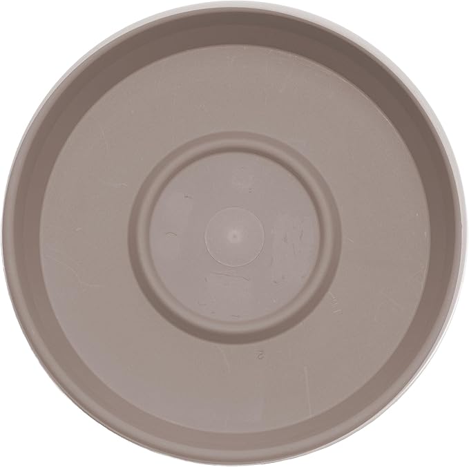 Bloem Terra Resin Saucer Tray: 8" Bottom Width - Image 5