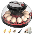 12 Egg Incubator for Hatching Chicken, Quail Eggs – 360° Visible Lid, Automatic by Unknown