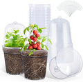 homenote Clear Nursery Pots for Plants, 5 Inch Plant Pot for Planting by HOMENOTE