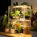 Bstrip Tabletop Greenhouse, GM4 Small Greenhouse by Bstrip