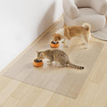 3'×4' Frosted Clear Waterproof Area Mat by Unknown