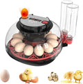 Egg Incubators for Hatching Eggs, Incubator for 12 Eggs Automatic Turning by HomeSupplies