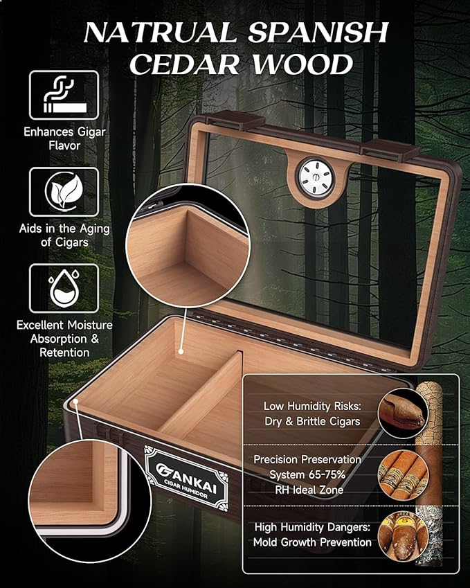 Cigar Humidor, Glass top Cigar Case - Image 5