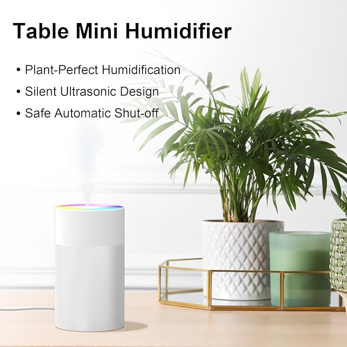 Portable Small Humidifier, USB Personal Desktop Humidifier - Image 2