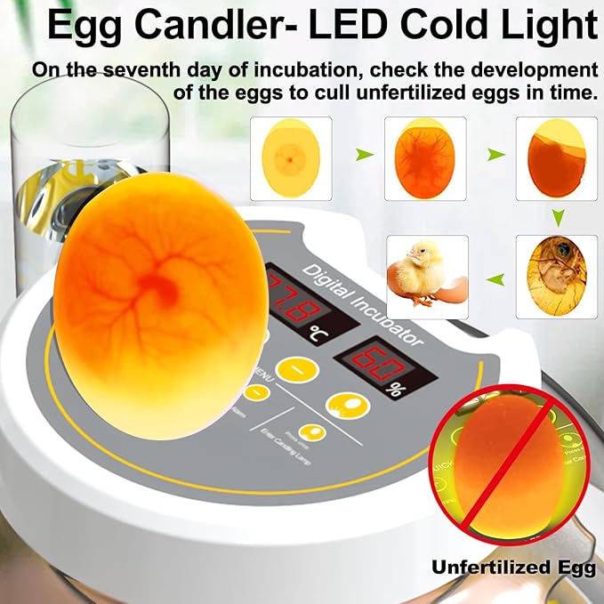18/60 Incubator for Hatching Eggs, Egg Incubators - Image 3