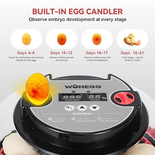 2nd Gen - 12 Egg Automatic Incubator, Two-Stage Humidity - Image 4