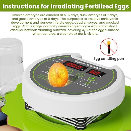 18-Egg Incubator incubators for Hatching Eggs - Image 4