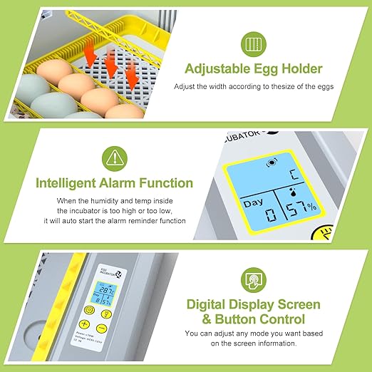 36 Eggs Incubator for Hatching Chicken/Goose/Quail/Duck/Turkey Eggs, 360° View - Image 3