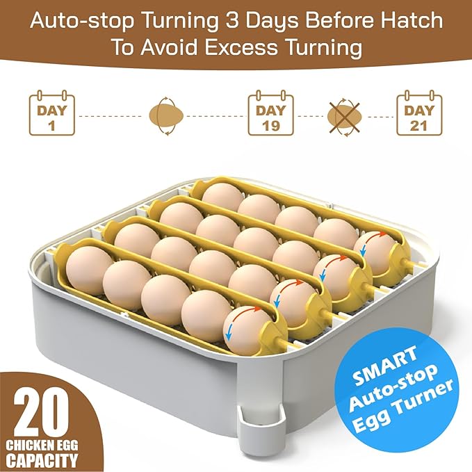 MATICOOPX 20 Egg Incubator - Image 5
