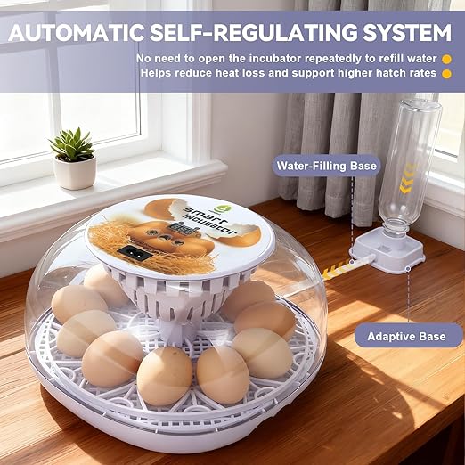 1st Gen - 12 Egg Automatic Incubator, Steady Humidity - Image 5