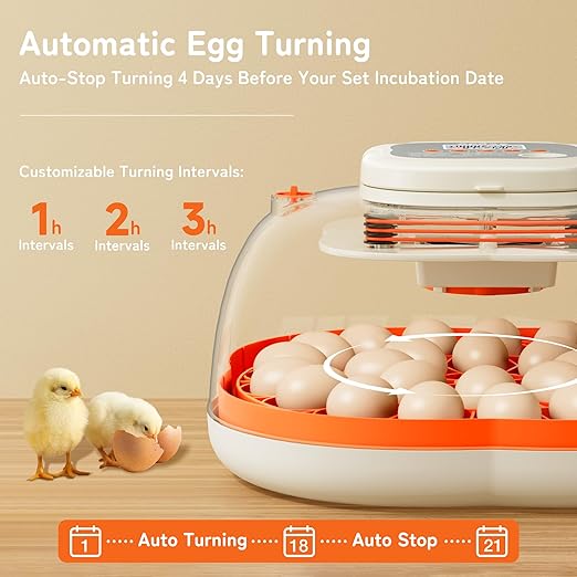 25 Egg Incubator, Extra-Large Interior - Image 5