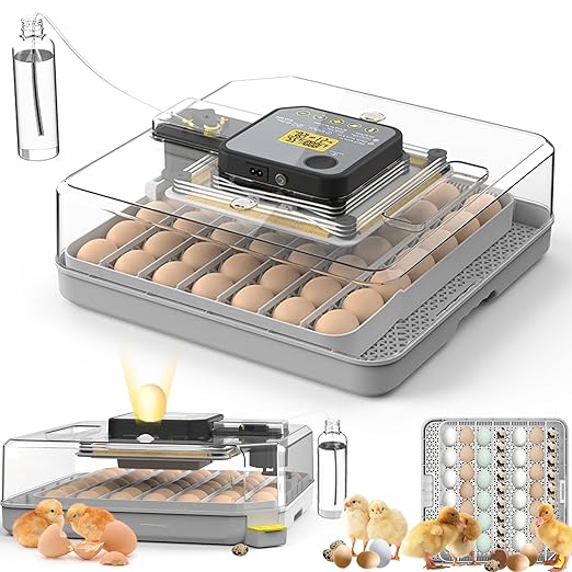 Incubators for Hatching Eggs 48 Egg Incubator by Unknown
