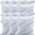6Pcs 100 Gram Silica Gel Packets, Pure and Safe Silica Gel Desiccant Packs by Wisesorb