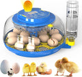 Egg Incubator for Hatching Chicks, 18 Eggs Automatic Egg Turner Multifunctional by SENXINGYAN