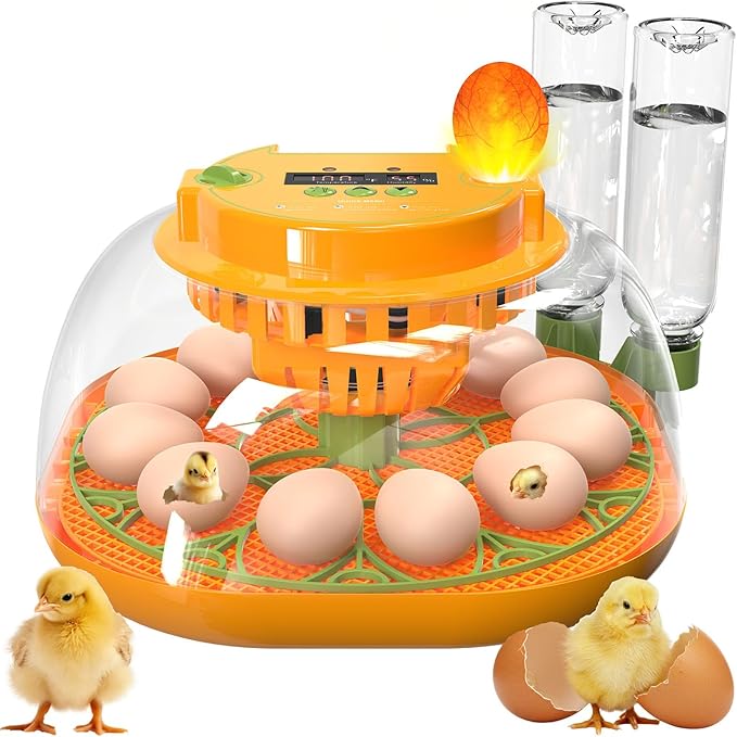 Incubators for Hatching Eggs, 12 Egg Incubator by Viowey