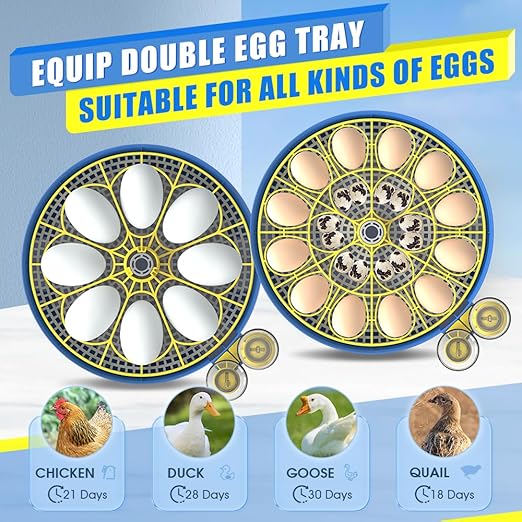incubators for hatching eggs，18 Egg Incubator, egg incubator - Image 7