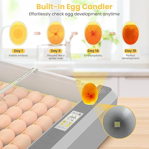 36-60 Egg Incubator with Automatic Egg Turning and Humidity Control, Adjustable - Image 5