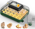30 Egg Incubator for Hatching Eggs by DETODDA