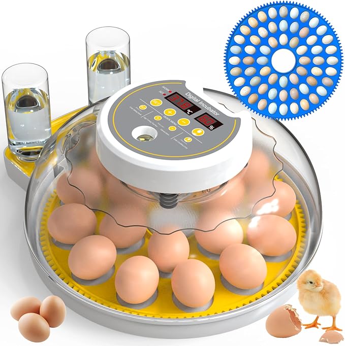 18/60 Incubator for Hatching Eggs, Egg Incubators by DEZHXHE