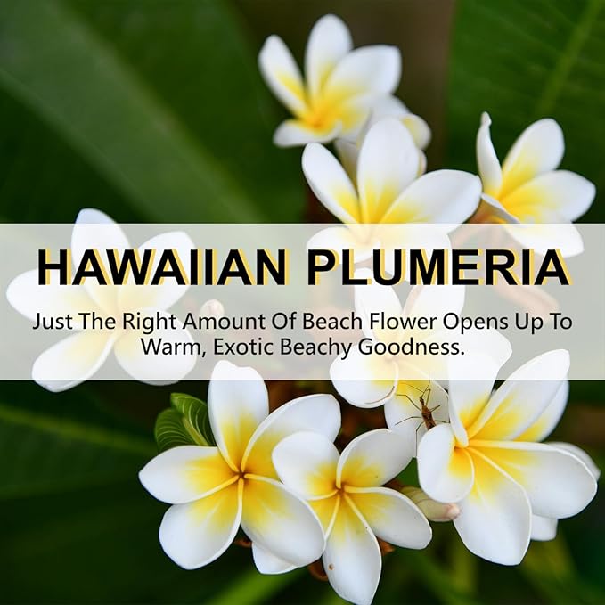 ROSE COTTAGE Large 12 Packs Hawaiian Plumeria Hanging Closet Air Freshener - Image 6