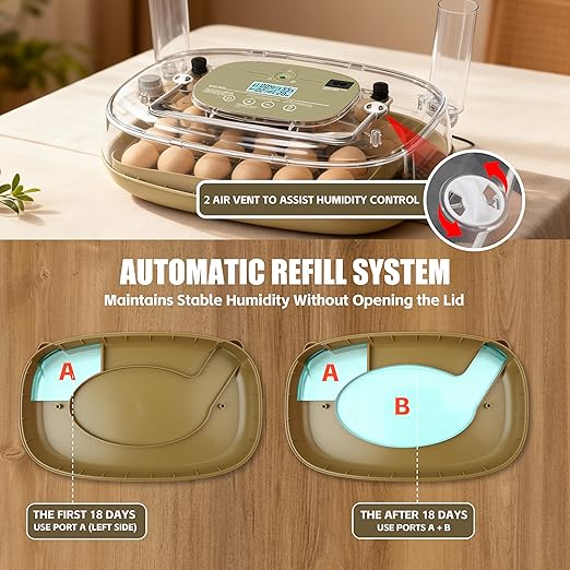 Incubators for Hatching Eggs, 24 Egg Incubator - Image 5