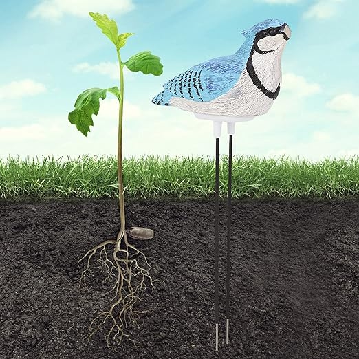 Watering Alarm Bird Plant Soil Tester, Hygrometer Sensor Gardening Tool - Image 2