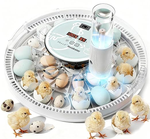 MeeF incubators for Hatching 28 Eggs, Independent atomizing humidifier by MeeF