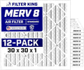 Filter King 30x30x1 Air Filter Dust & Allergy Control AC Furnace Filters by FilterKing