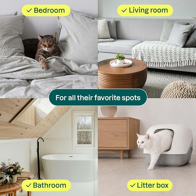 ATTITUDE Air Purifier with Activated Carbon Filter, Plant- and Mineral-Based - Image 4