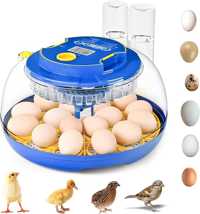 18-36 Eggs Incubators for Hatching Eggs by Unknown