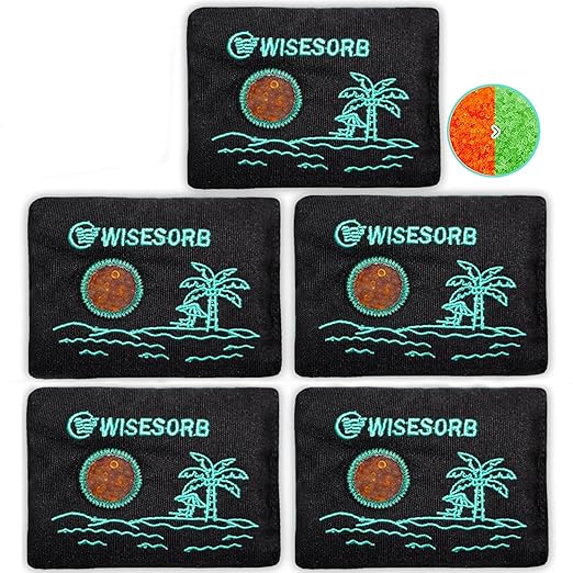 100g x 5pcs Rechargeable Desiccant Packs, Reusable Car Dehumidifier Bags Color by Wisesorb
