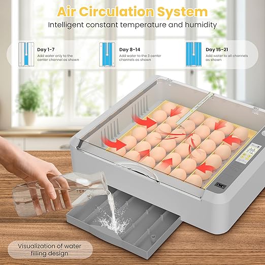 36-60 Egg Incubator with Automatic Egg Turning and Humidity Control, Adjustable - Image 4