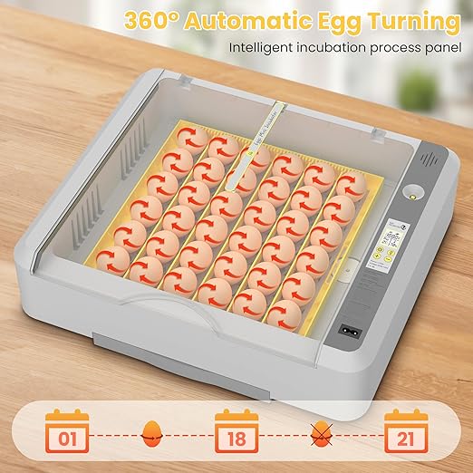36-60 Egg Incubator with Automatic Egg Turning and Humidity Control, Adjustable - Image 3