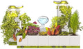 LeGrow Home Garden, Enjoy The Natural Landscape Daily, Automatic LED Grow Light by LeGrow