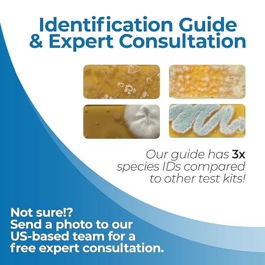 #1 Indoor Air Quality Test Kit by Detekt - Image 4