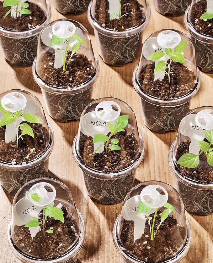 homenote Clear Nursery Pots for Plants, 4 Inch Plant Pot for Planting - Image 4