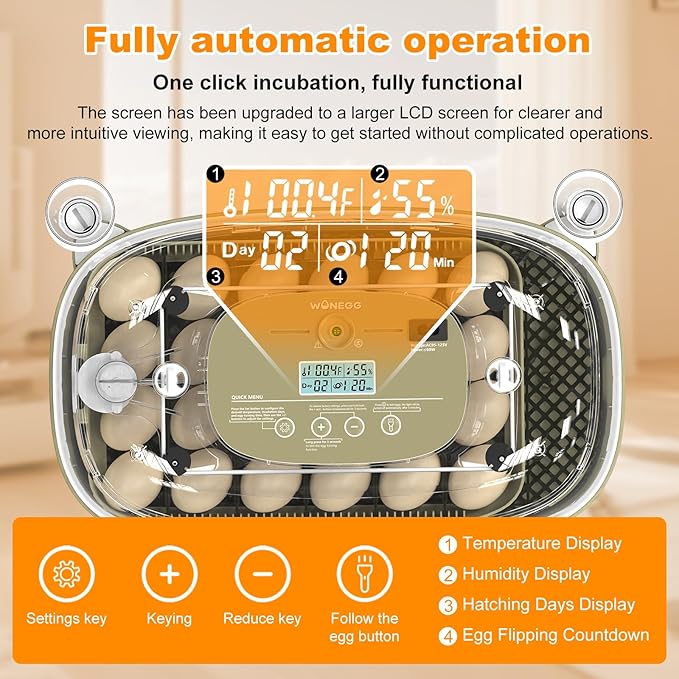 24 Egg Incubators for Hatching, Automatic Egg Turning and Temperature Control - Image 2