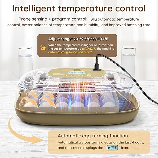 24 Egg Incubator for Hatching Eggs - Image 5