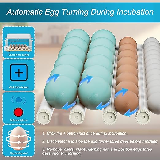 Incubators for Hatching Eggs, 36 Egg Incubator - Image 3