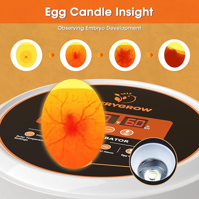 Incubators for Hatching Eggs, 22 Eggs Smart Incubator - Image 5