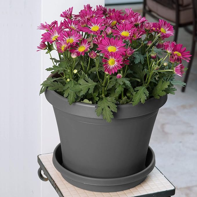 Bloem Terra Resin Saucer Tray: 4.75" Bottom Width - Image 4