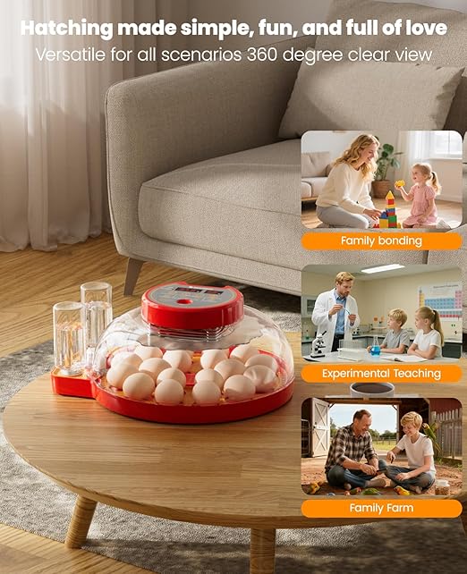 18 Incubators for Hatching Eggs - Image 9