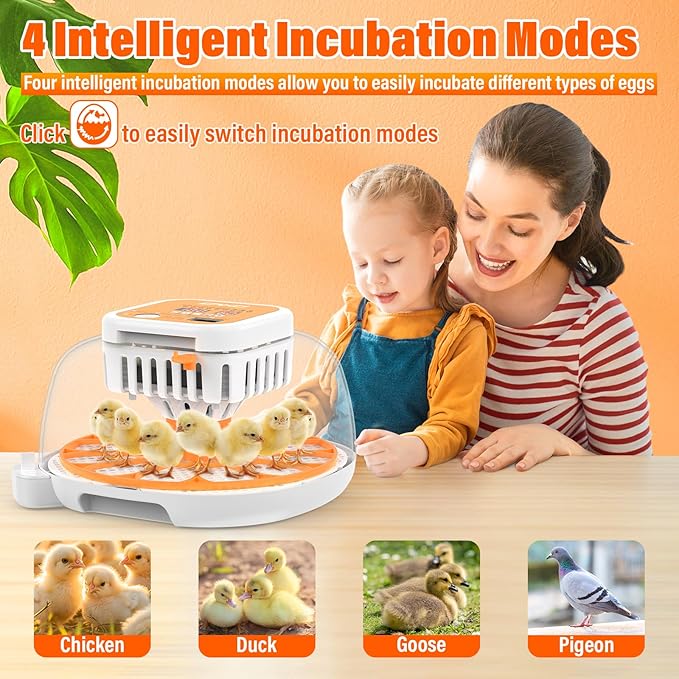 ONKO 12 Egg Incubator with Auto Temp & Humidity Control - Image 4