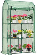 Mini Greenhouse for Indoor Outdoor, Small Plastic Plant Green House Rack Stand by Purlyugreenhouse