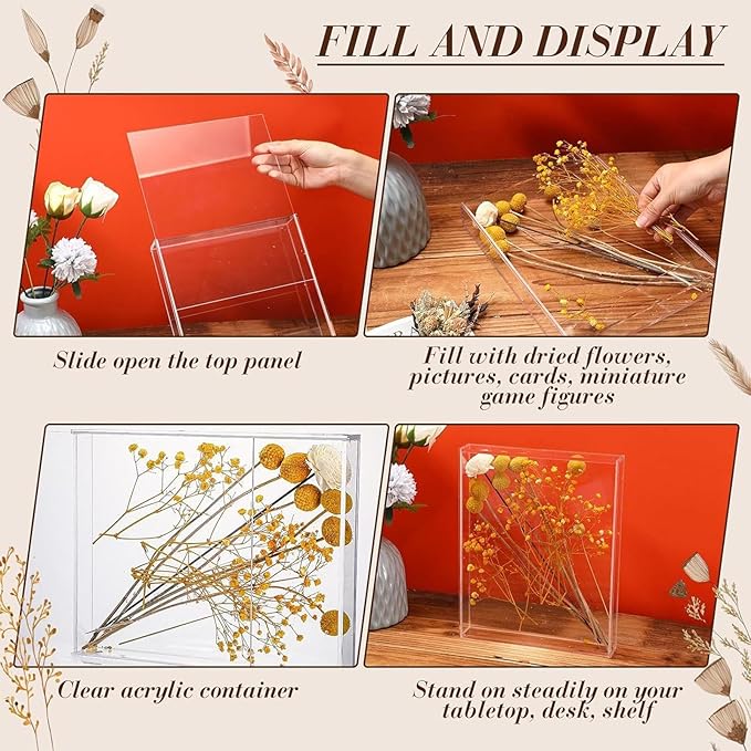 Clear Acrylic Showcase - Image 4