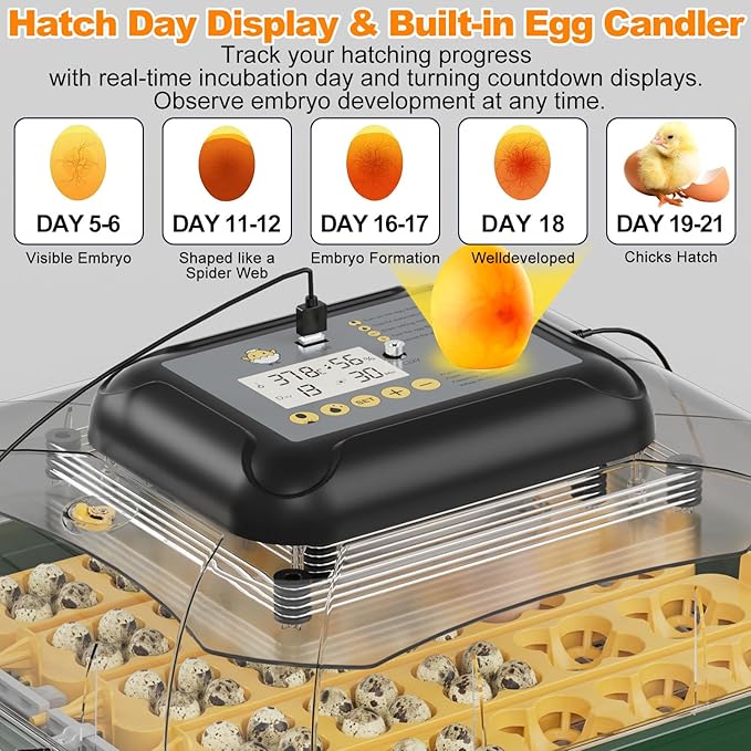 30 Egg Incubator for Hatching Eggs - Image 4