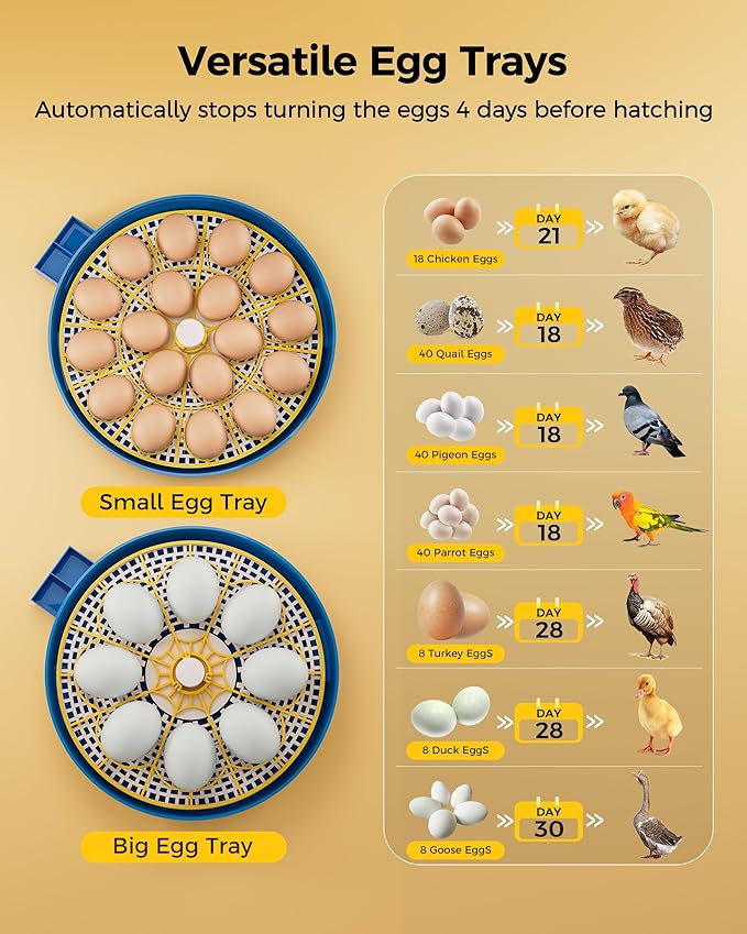 18 Incubators for Hatching Eggs, Automatic Egg Turning and Humidity Control - Image 4